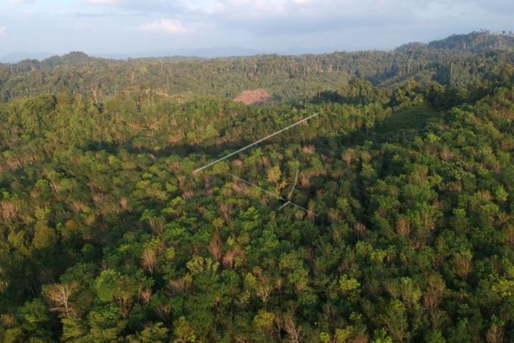 Taman Nasional Kerinci Seblat