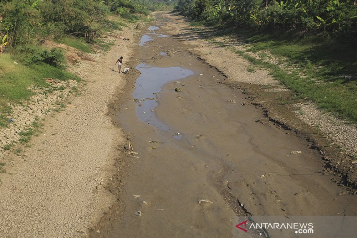 Sungai Cipanas mengering 