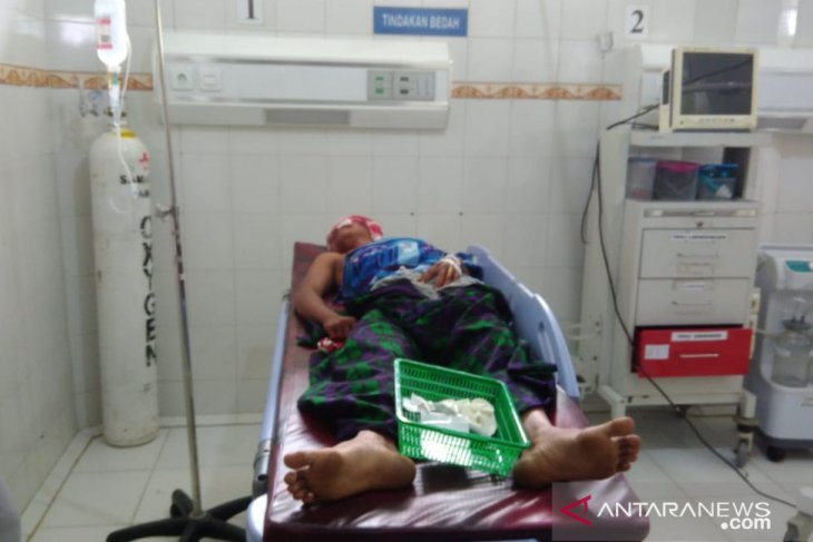 Syafei (29) luka-luka diserang kawanan beruang