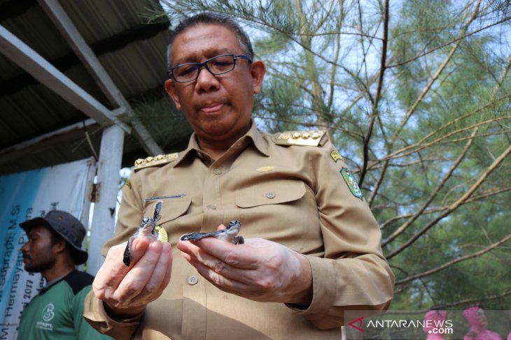 Gubernur Kalbar Kunjungi Perbatasan di Kabupaten Sambas