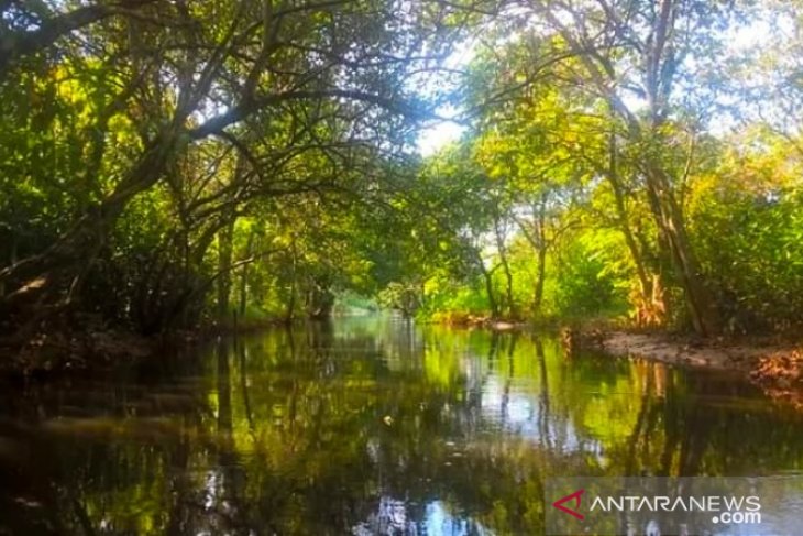 Normalisasi Sungai Karang Mumus Samarinda terus berjalan