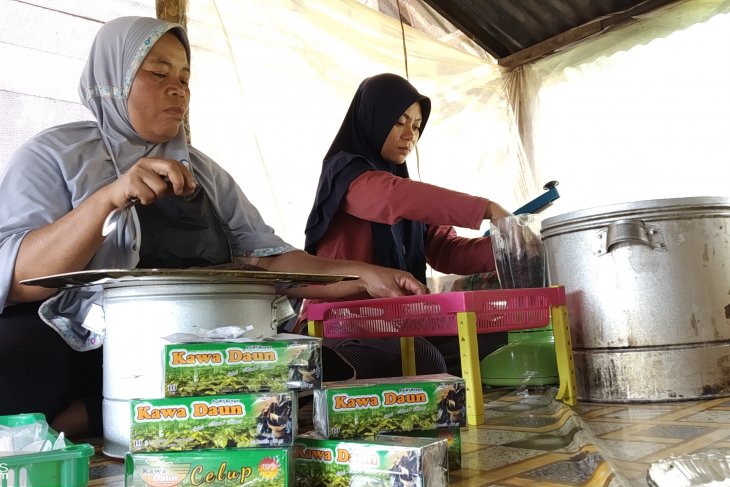 Kopi kawa daun Tanah Datar kini telah hadir dalam bentuk kemasan