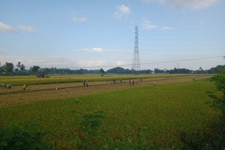 Mataram builds dozens of shallow wells to tackle drought