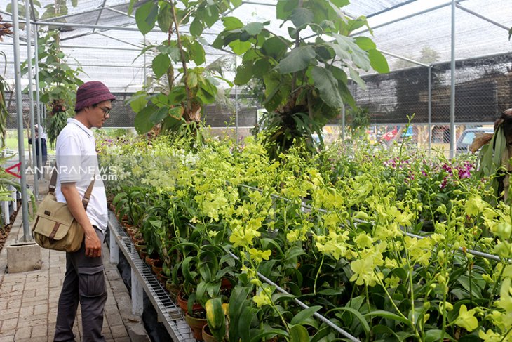 Pembangunan Wisata Kebun Anggrek di Surabaya masuki tahap 