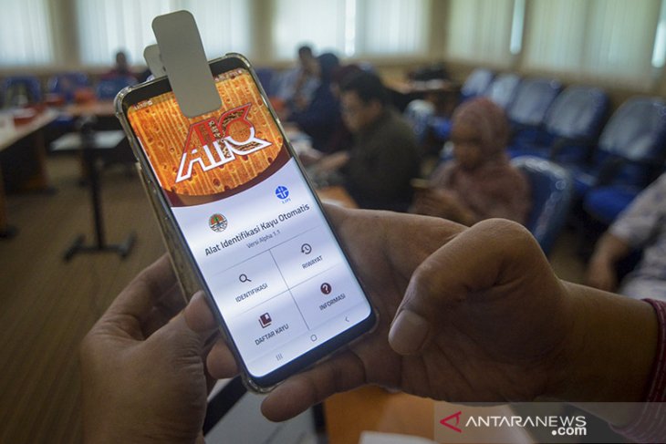 Alat identifikasi kayu otomatis 