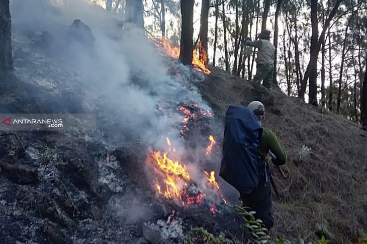 Kawasan Hutan Gunung Arjuno Kembali Terbakar Antara News Jawa Timur