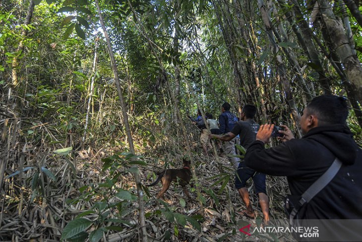 Evakuasi macan tutul dari pemukiman 