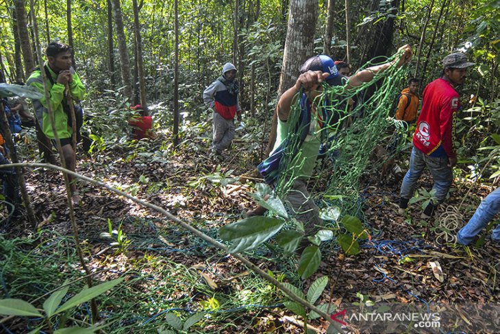 Evakuasi macan tutul dari pemukiman 