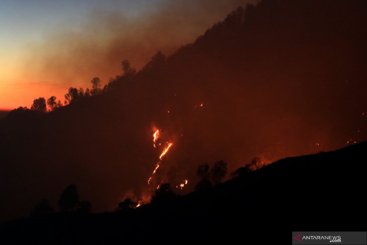 Fire catches forest on Mt Merapi's slope