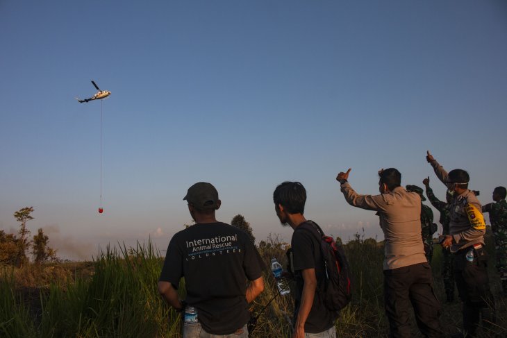 Karhutla di Muara Pawan Ketapang