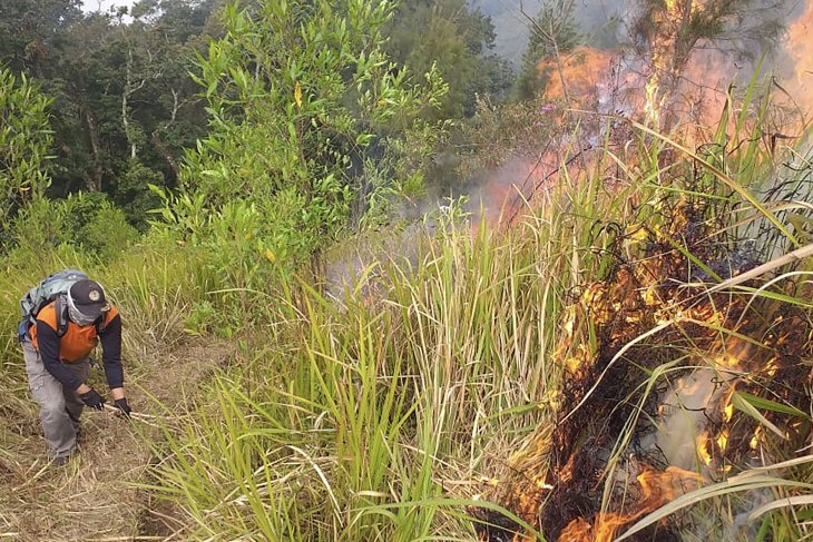 Tujuh titik bara api di Gunung Arjuno belum padam