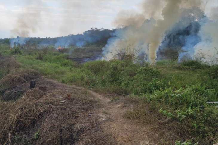 Two hotspots in Tabalong monitored by satellite