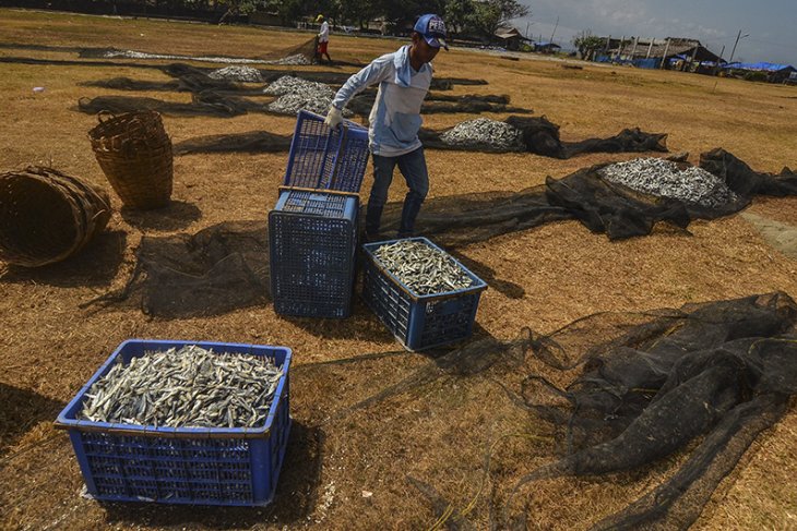 Angka Konsumsi Ikan Nasional