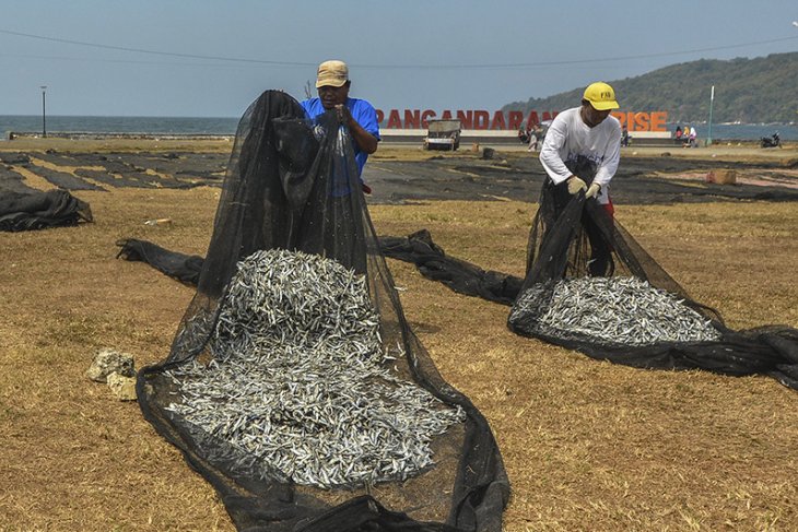 Angka Konsumsi Ikan Nasional