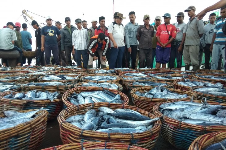Menanti hadirnya industri perikanan di ujung negeri