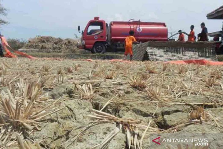 212.321 jiwa di Pamekasan terdampak kekeringan