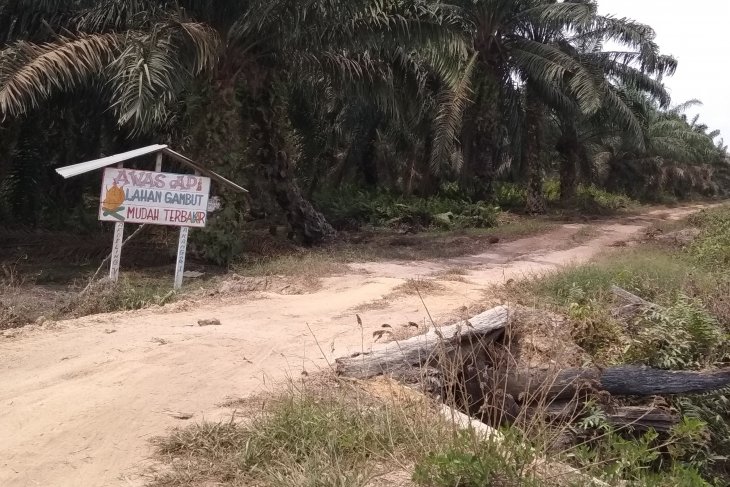 Karyawan kebun sawit Muarojambi siaga 24 jam ronda karhutla