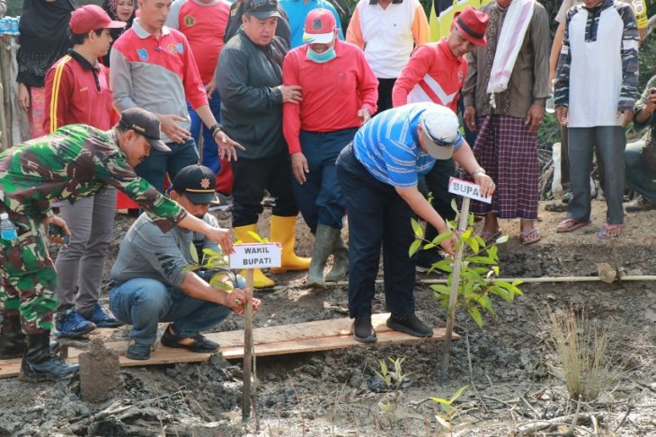 Lintas alam Tanjabbar bagian kampanye pelestarian mangrove