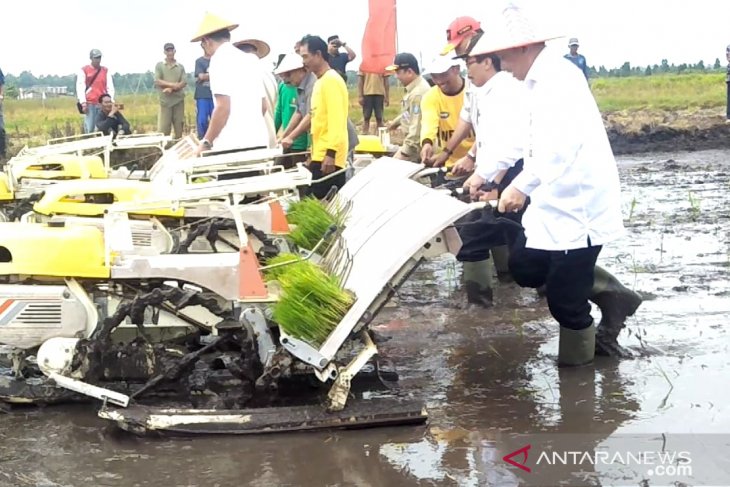 Pemanfaatan 7.968 ha lahan sawah di Bangka Selatan terkendala irigasi