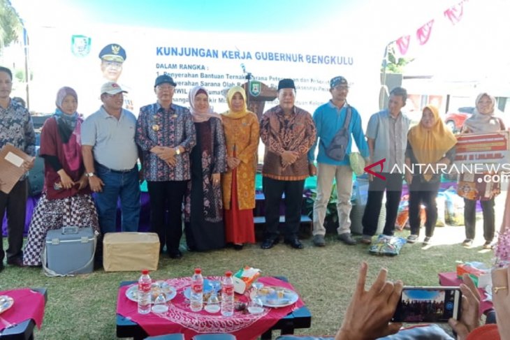 Gubernur Bengkulu berikan bantuan sapi kepada Poktan Mukomuko