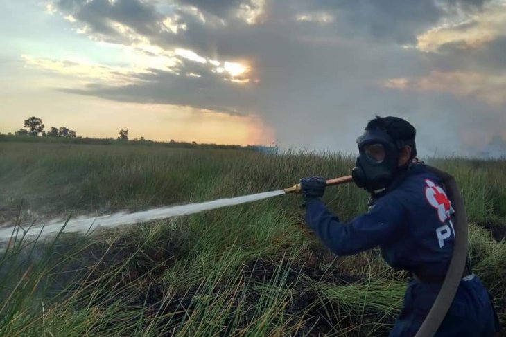 PMI kirim 40 ribu masker utuk masyarakat terdampak karhutla di Kalimantan