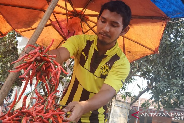 Jelang Idul Adha harga cabai di Cilegon Rp120 .000 /Kg