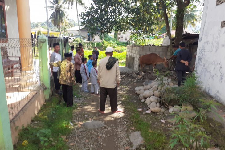 Jamaah Naqsabandiyah gelar Shalat Idul Adha