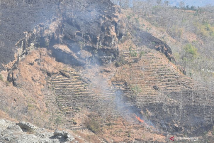 Kebakaran hutan di Ponorogo