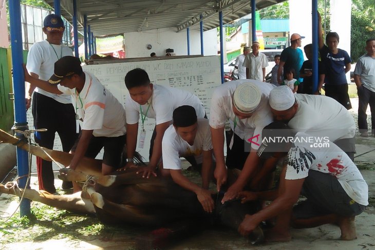 Jumlah hewan kurban Masjid Darussalam Mukomuko turun