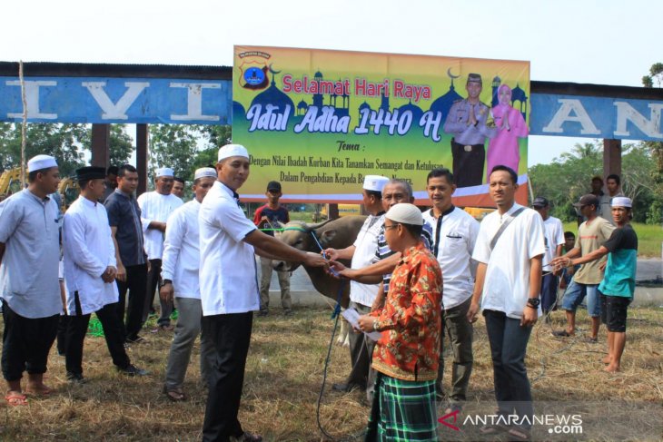 Polres Tapin bagikan 1350 lebih daging kurban