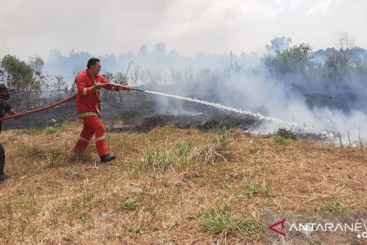Lahan PPN Sungailiat terbakar (Video)