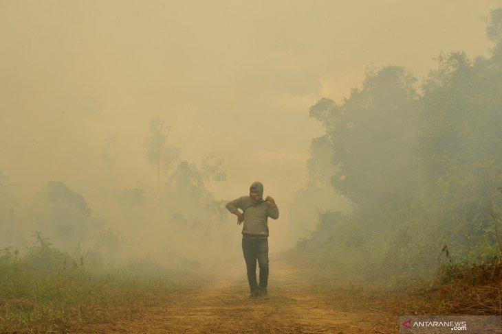 Polda Jambi tahan sembilan tersangka kasus Karhutla
