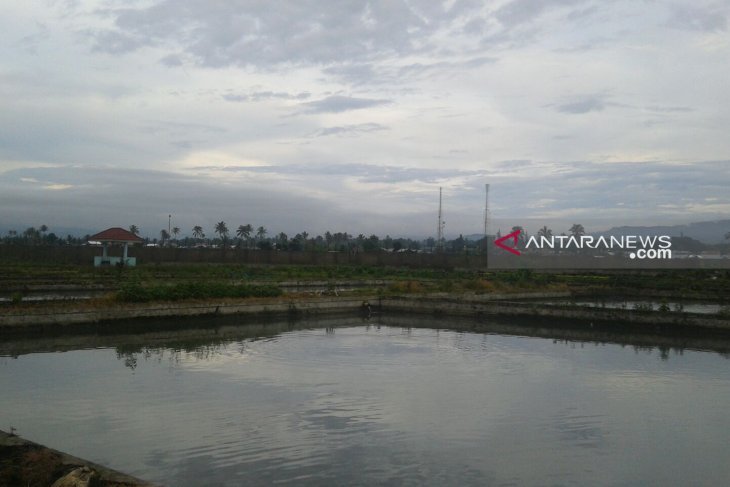 Produksi perikanan darat Rejang Lebong 5.350 ton per tahun