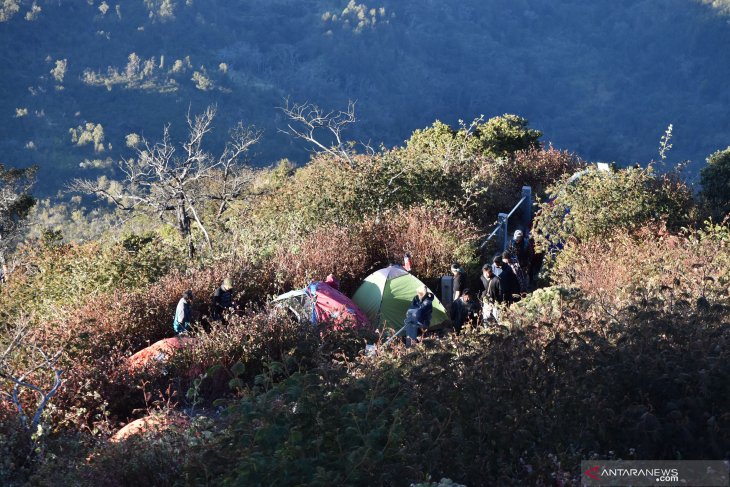 Pendaki Gunung Lawu