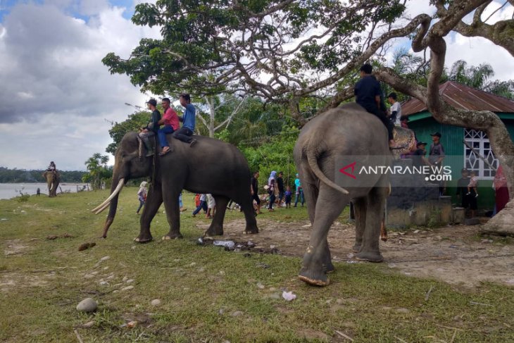KEE koridor gajah sumatera di Seblat pun diluncurkan