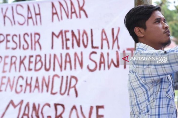 Suarakan dugaan penghancuran mangrove di Madina, gerakan peduli lingkungan diancam pidana