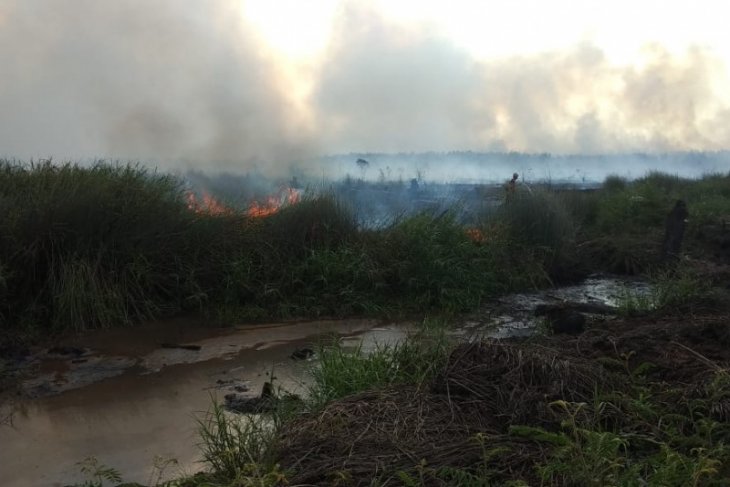 Pembakar lahan ditangkap Satgas Kebakaran Hutan dan Lahan Musi Rawas