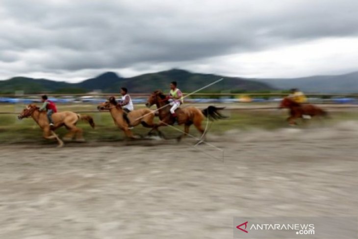 Pacuan kuda tradisional dongkrak kunjungan wisatawan ke Takengon