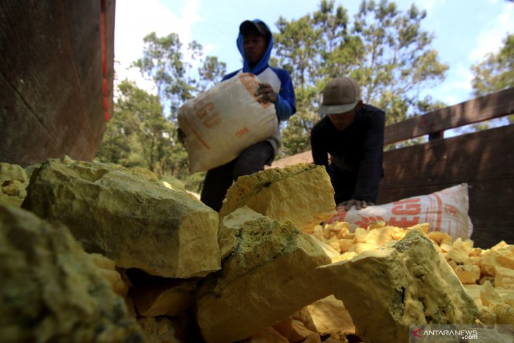 Penambang belerang Kawah Ijen