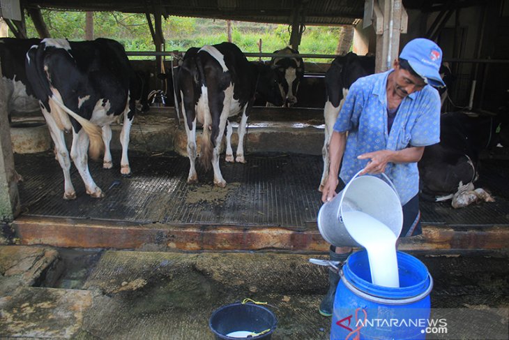 Produksi Susu Nasional