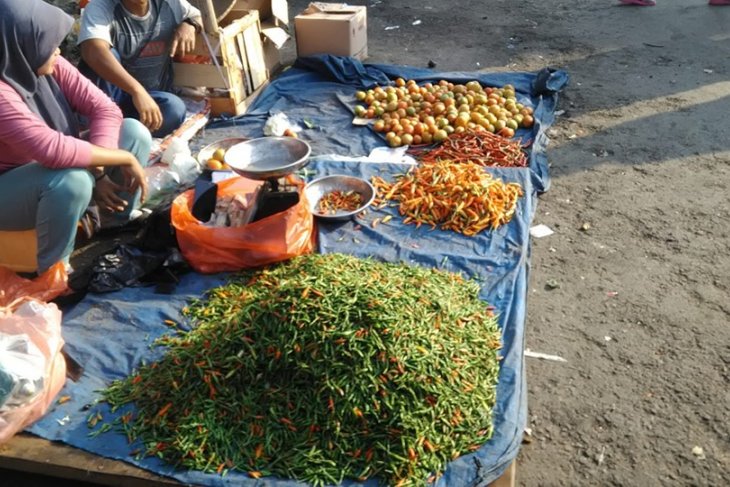 Harga melonjak dampak kemarau, petani cabai di Banten raup keuntungan