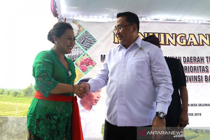 Menteri Eko puji pertanian berbasis pariwisata di Tabanan