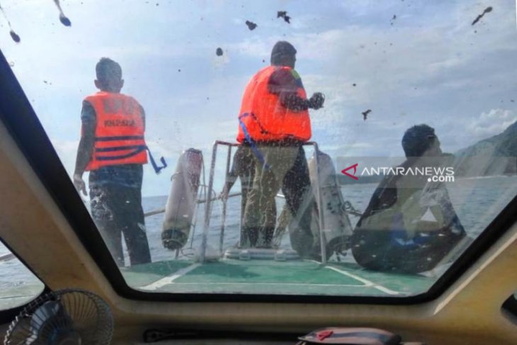 Cuaca ekstrem ganggu pencarian mahasiswa Papua di Aceh Selatan