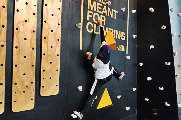 Puji Lestari ingin populerkan Panjat tebing lewat global climbing day