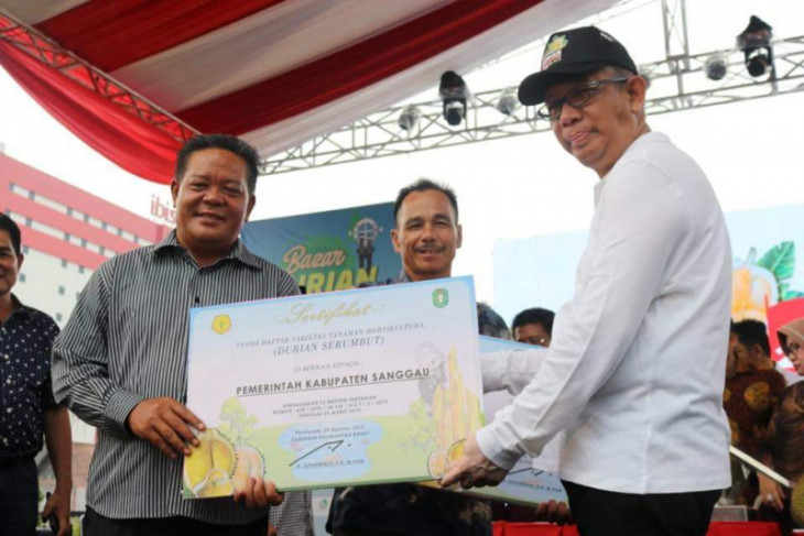 Sanggau mendominasi festival durian bumi khatulistiwa