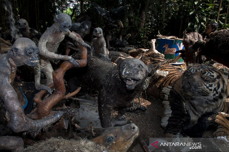 Pemusnahan Satwa Awet Bandung Zoo