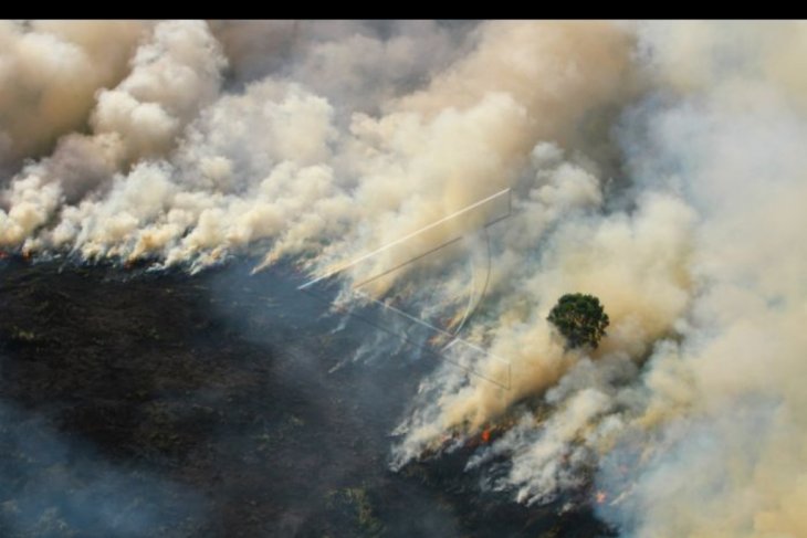 Kebakaran hutan dan lahan di Kalsel