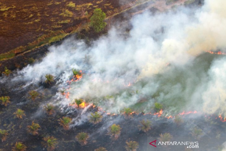 Kebakaran Hutan Dan Lahan