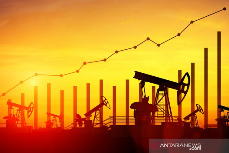 Harga minyak naik 0,5 persen, ditopang penyataan The Fed dan OPEC