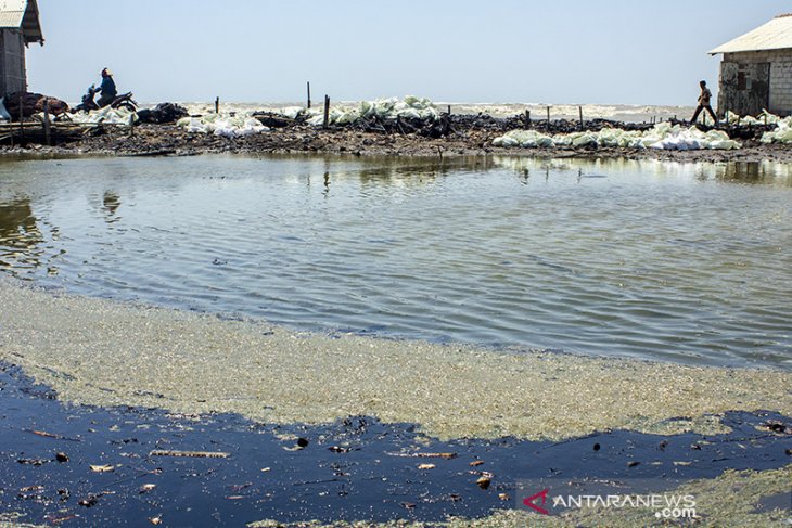 Tambak Ikan Terdampak Tumpahan Minyak Mentah